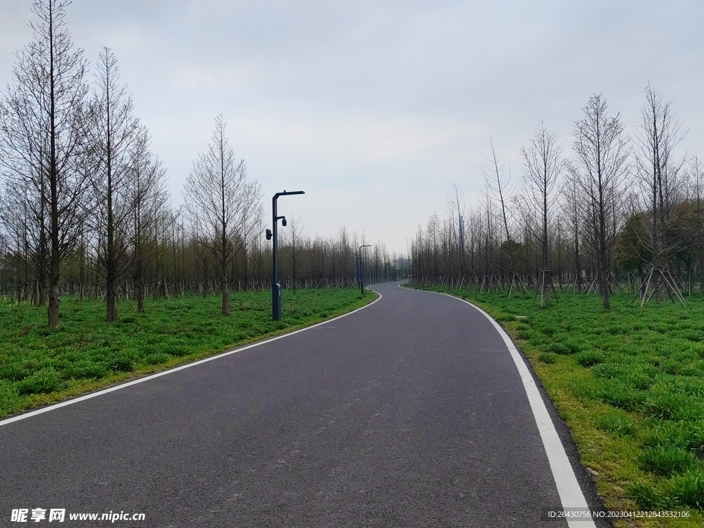 乡村沥青路弯道