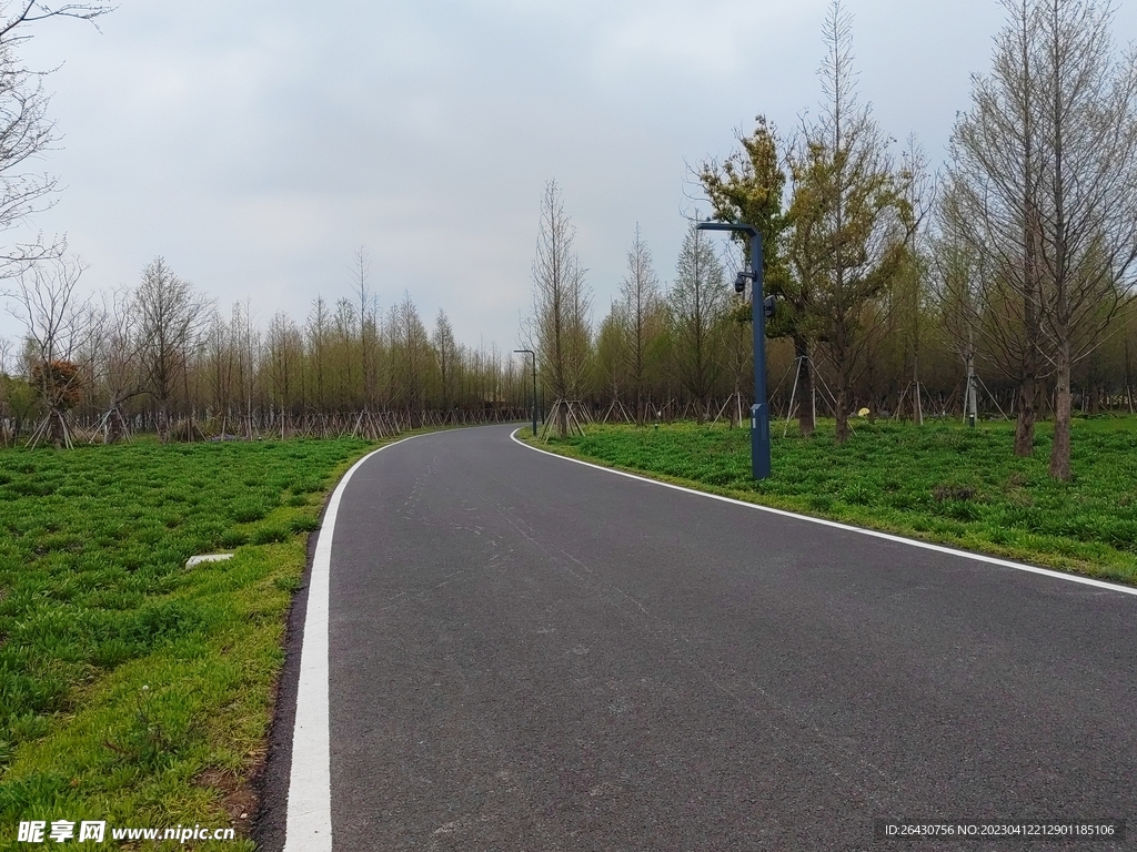 乡村公路弯道