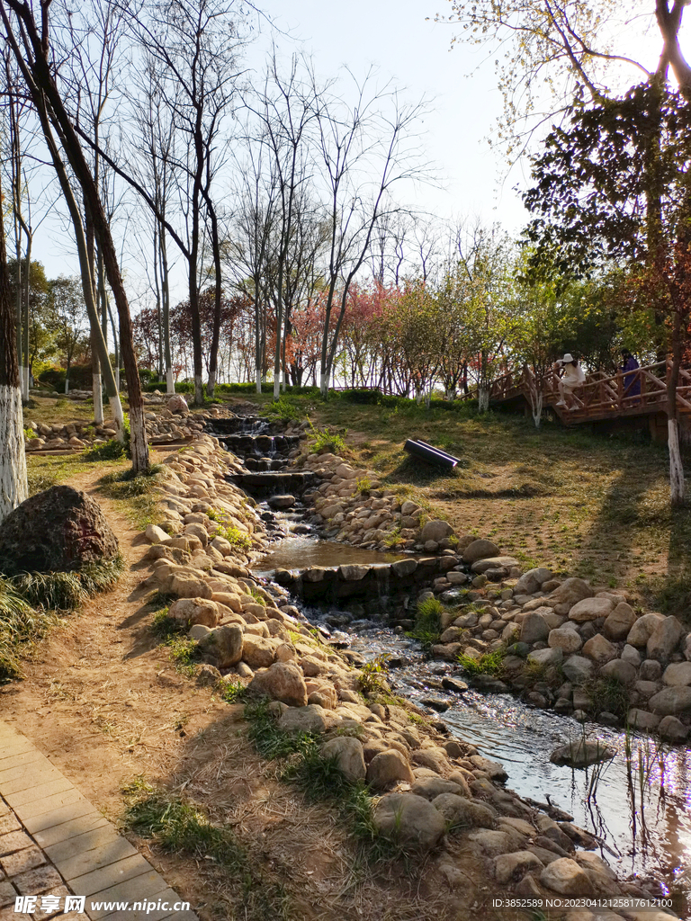  公园溪水风景