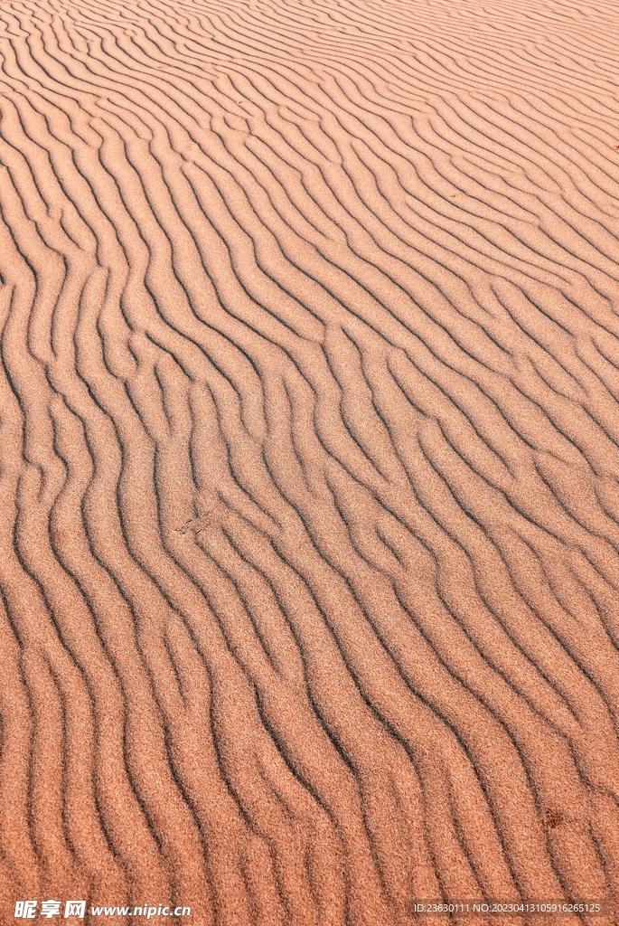沙漠