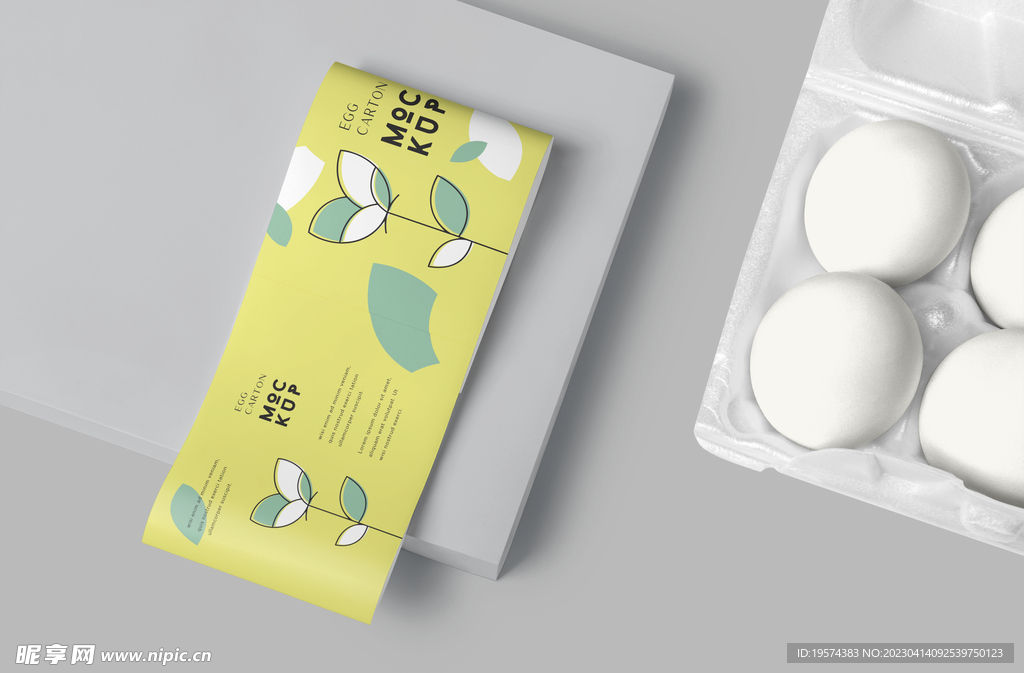 鸡蛋盒子 