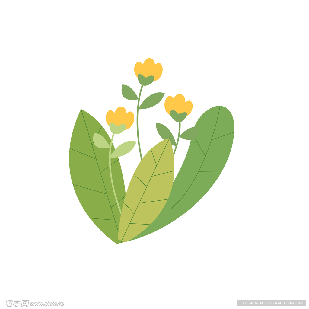 绿叶黄花植物素材