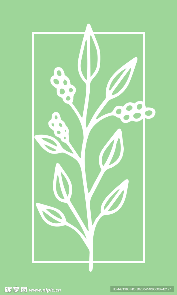 植物海报