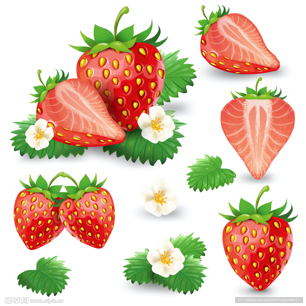 草莓插画