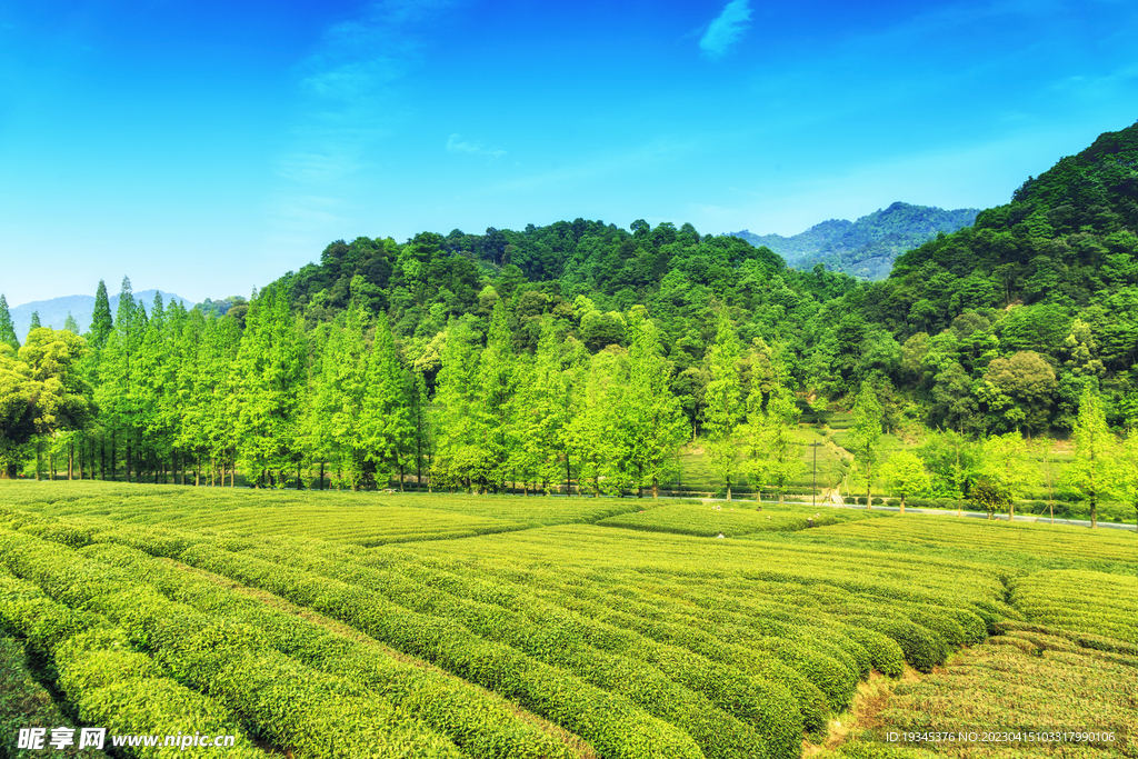 陆羽茶博物院