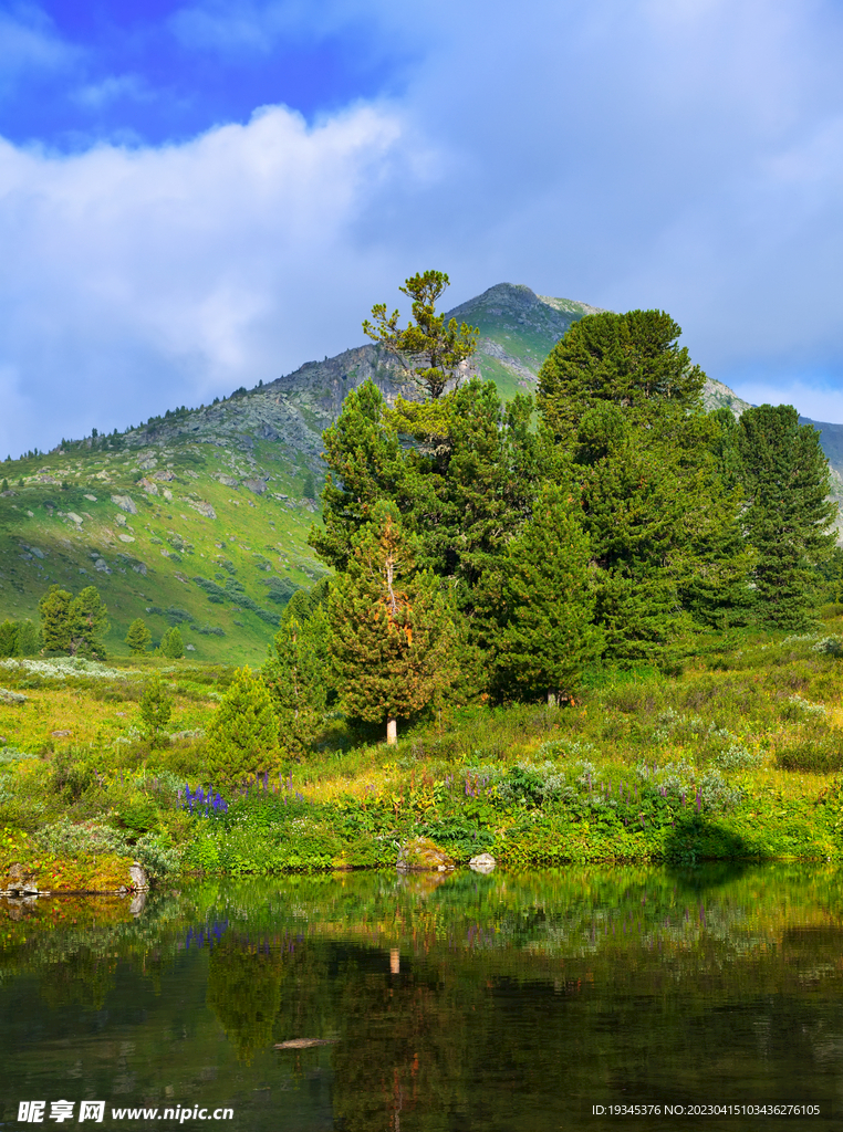 阿尔泰美景