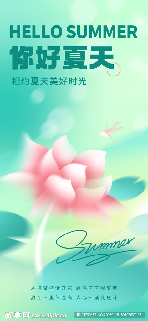你好夏天