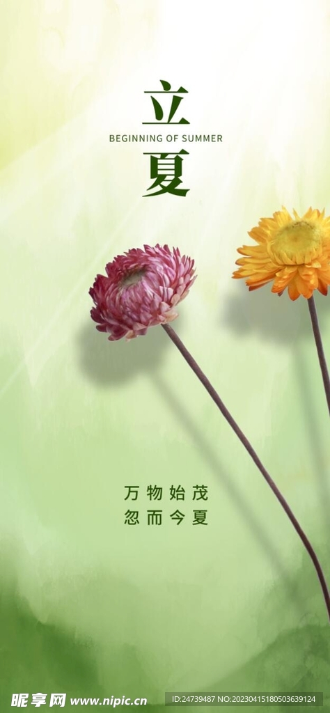 立夏