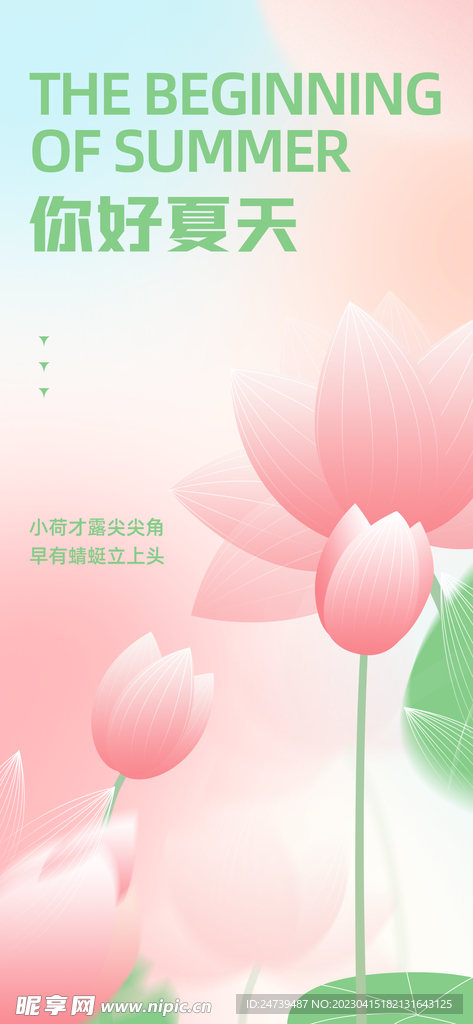 你好夏天