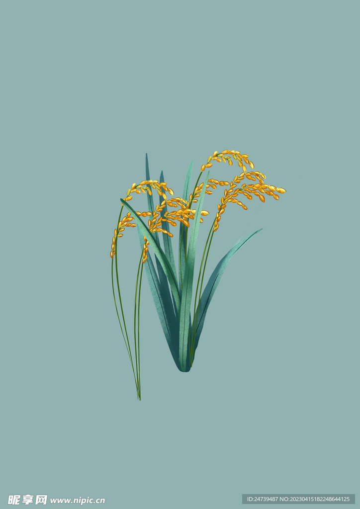 小满