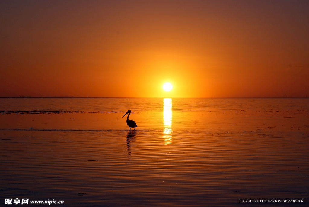 夕阳