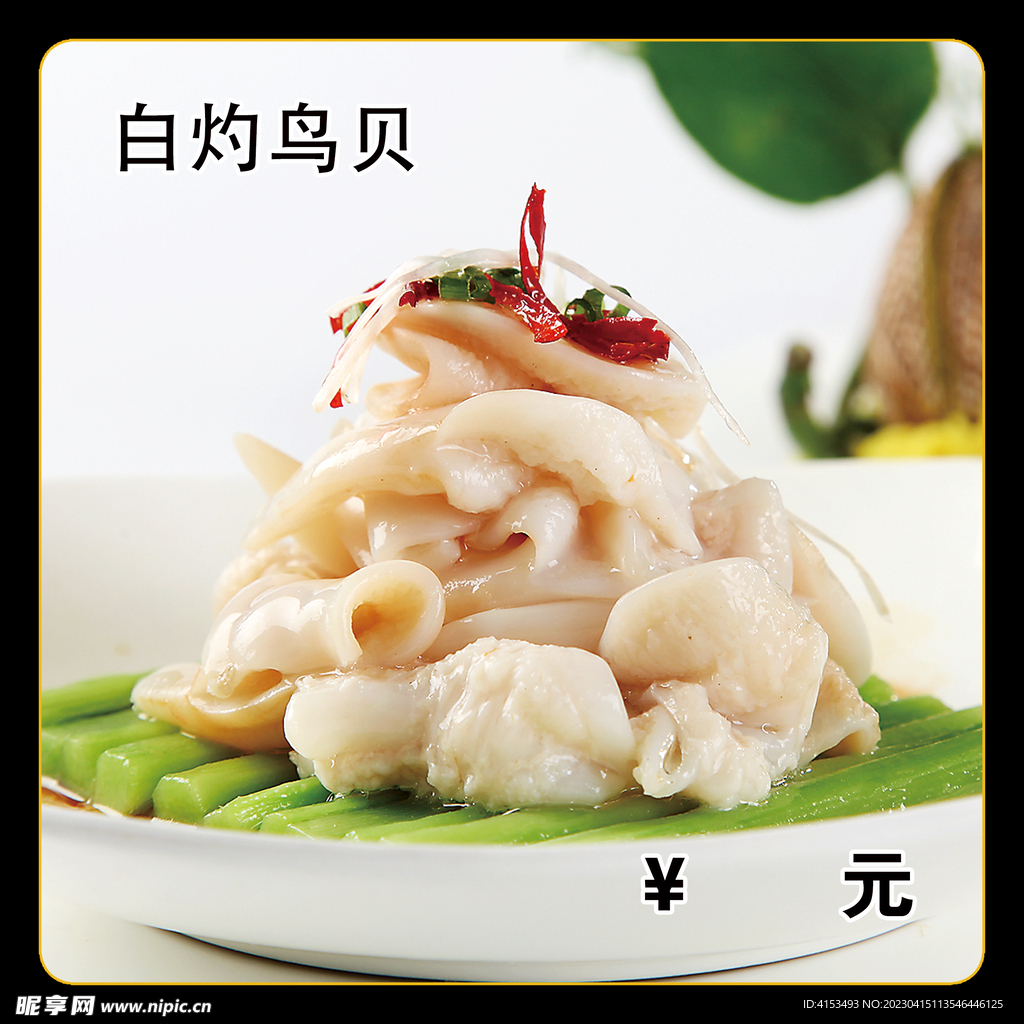 白灼鸟贝