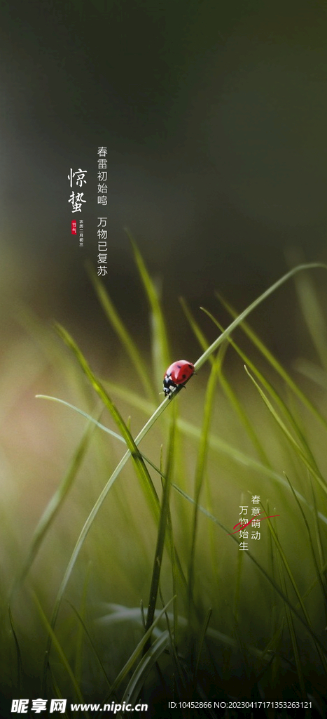惊蛰