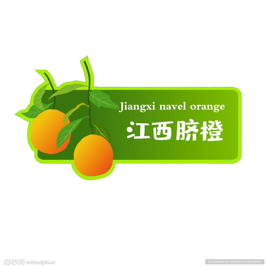  江西脐橙  
