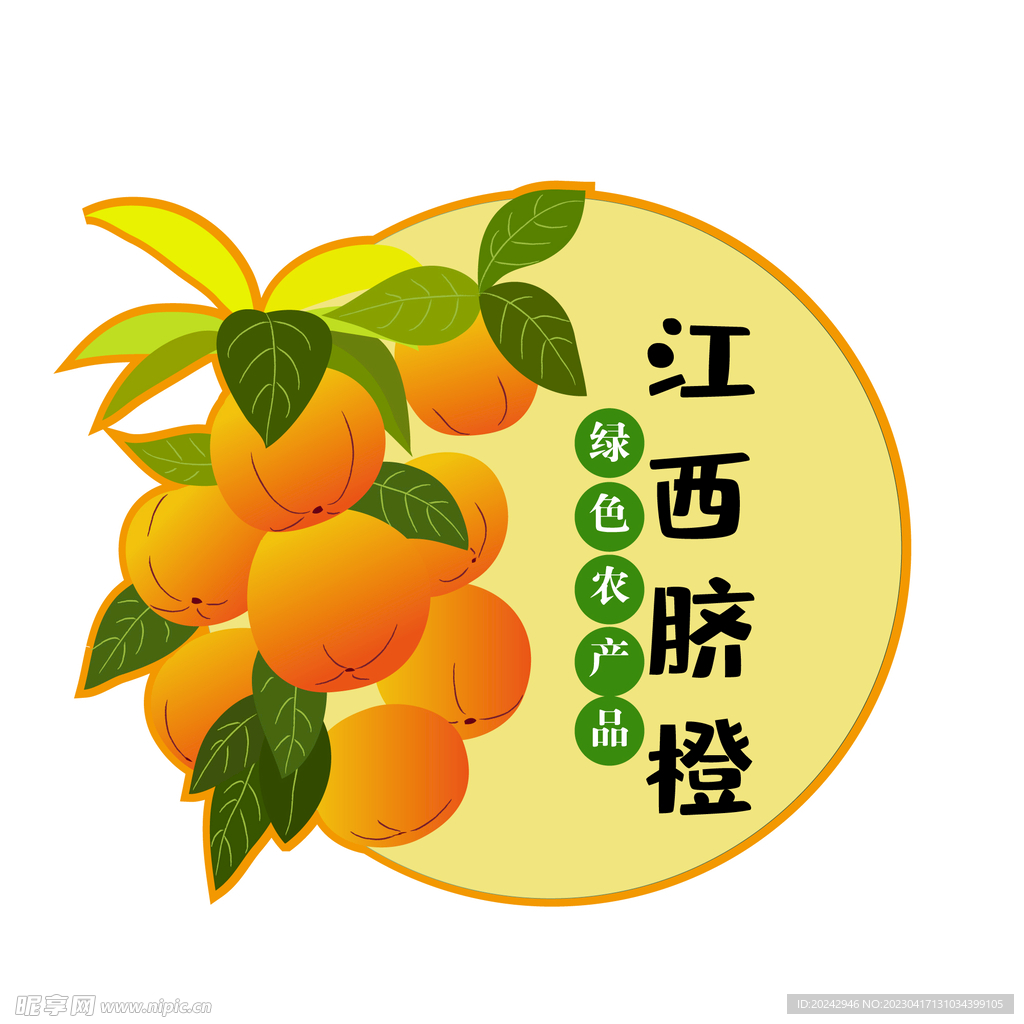 江西脐橙  