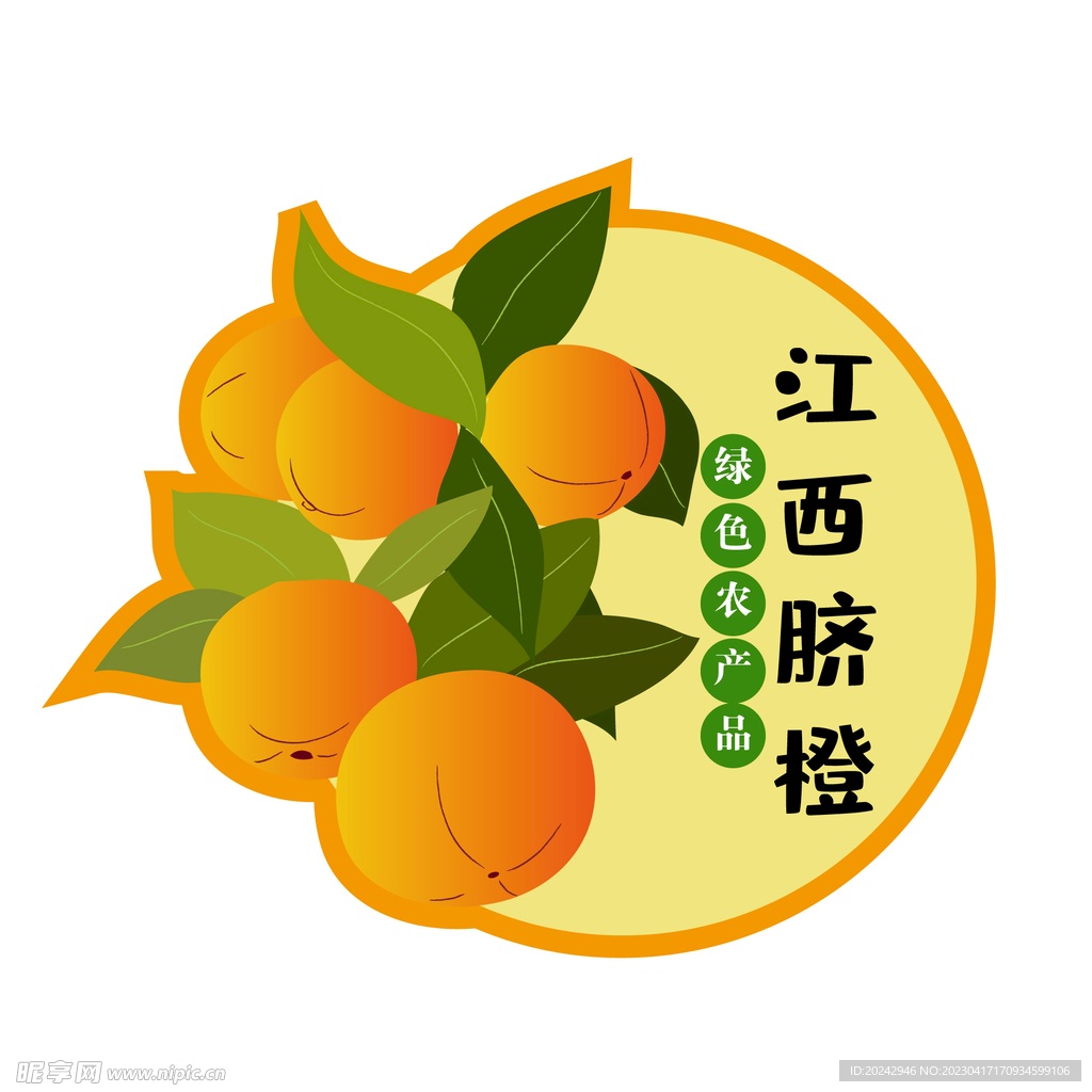 脐橙