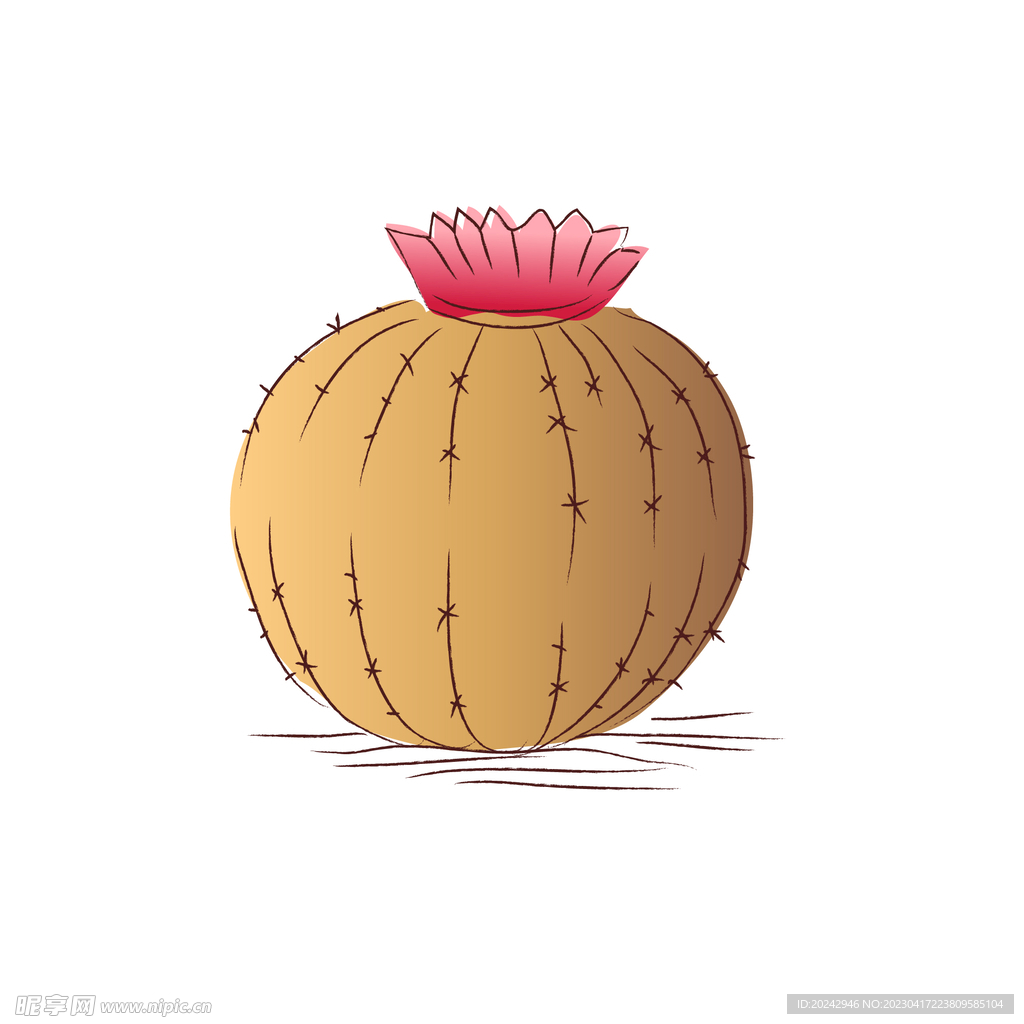 沙漠仙人掌  