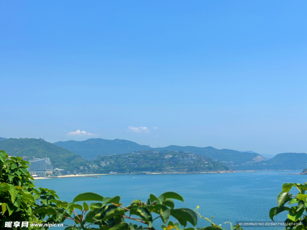 大海