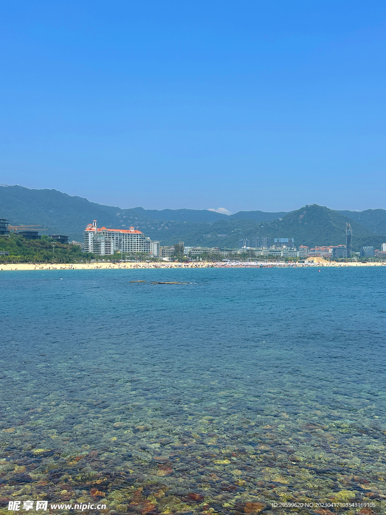 大海