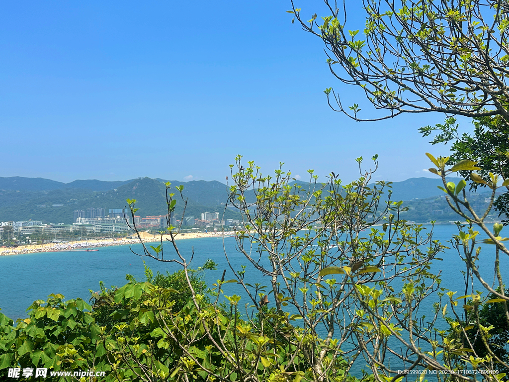 大海
