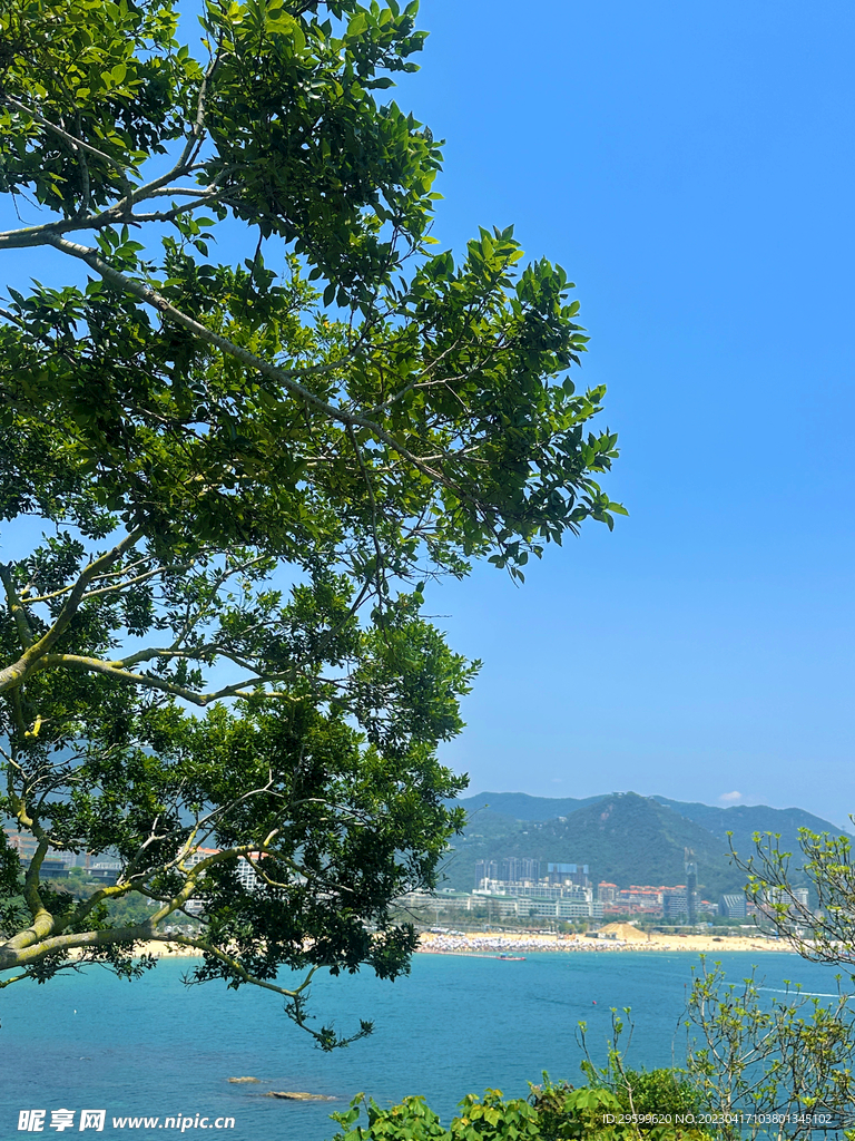 大海