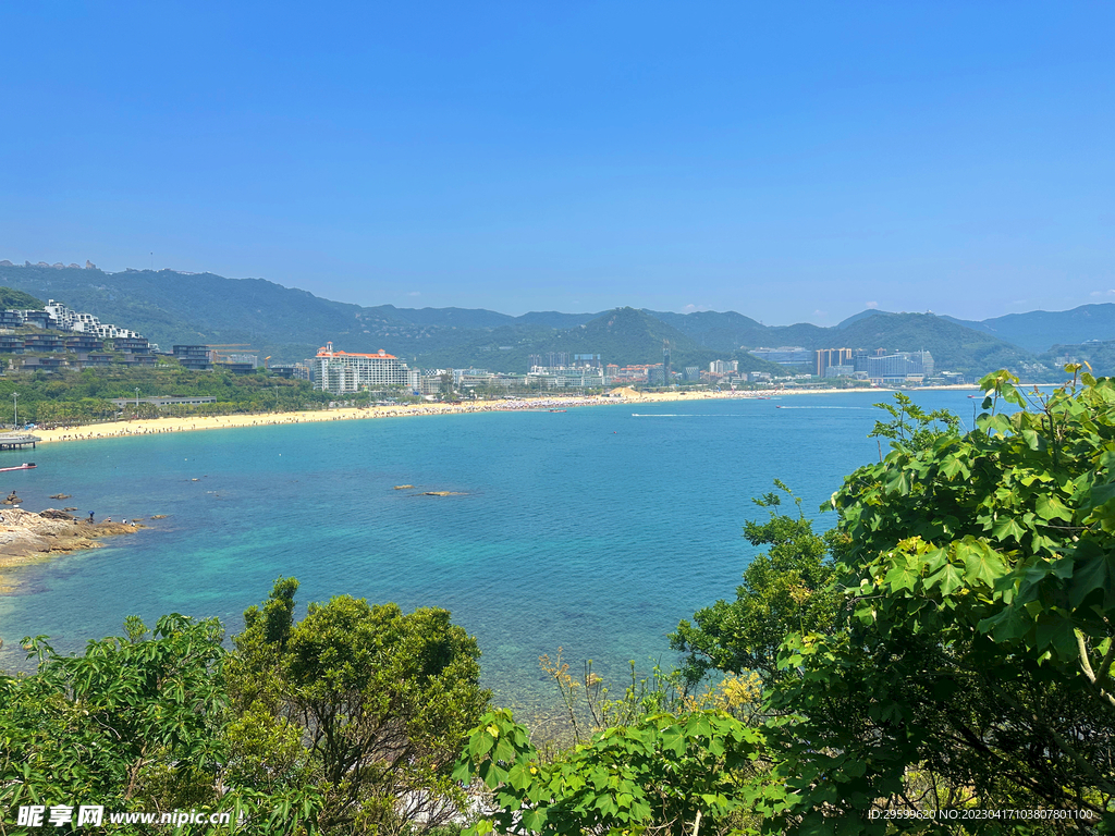 大海