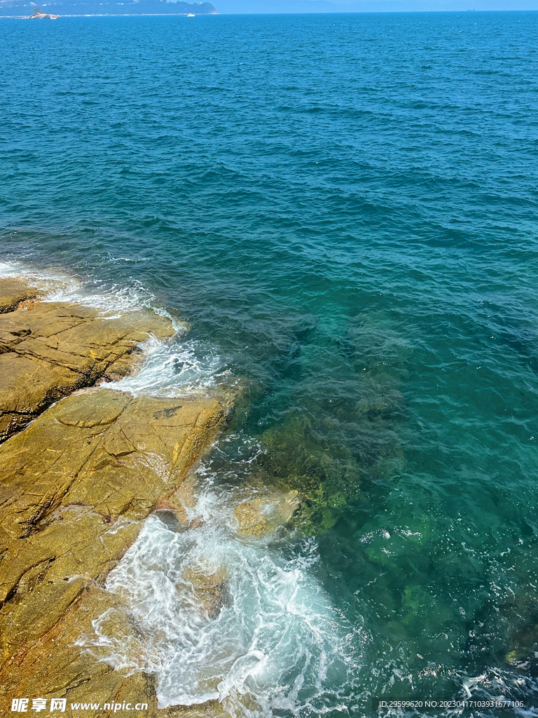 大海