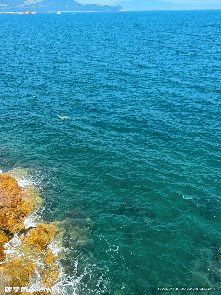 大海