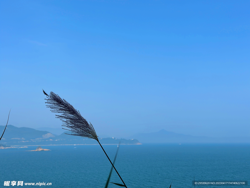 大海