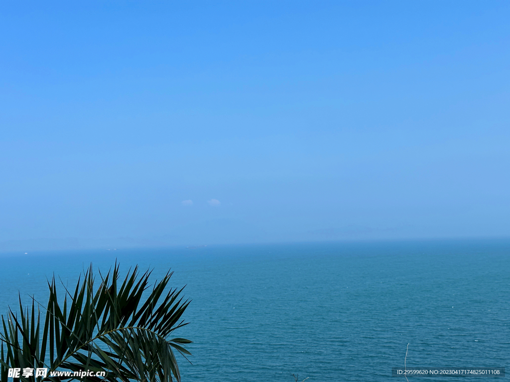 大海