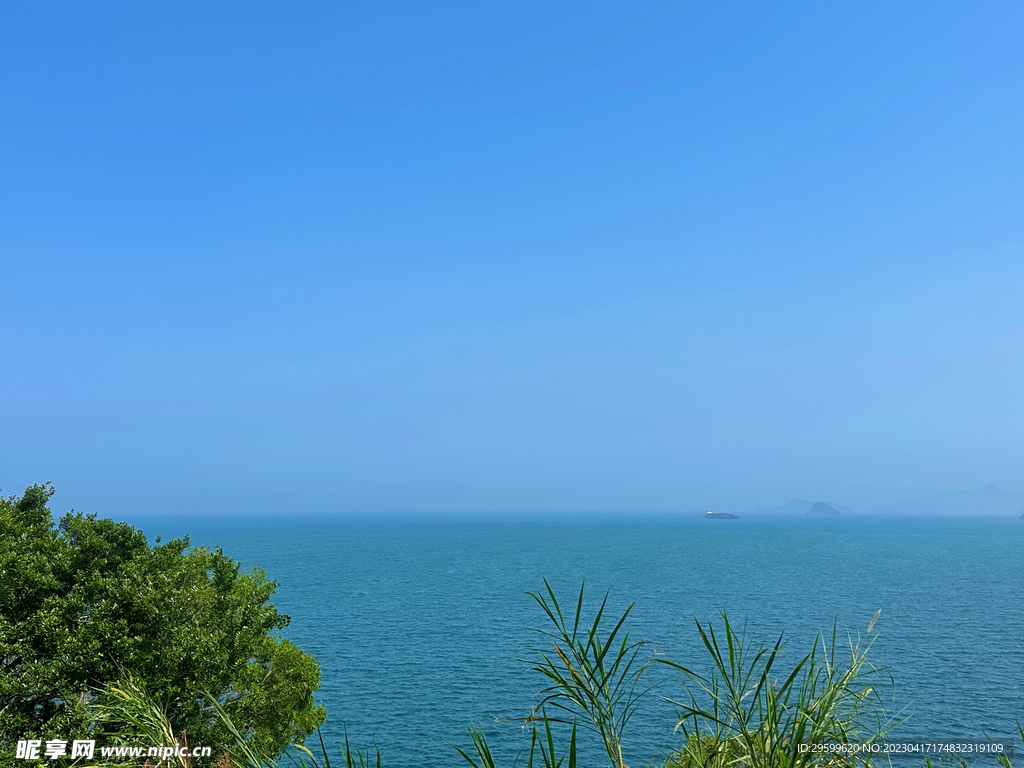 大海