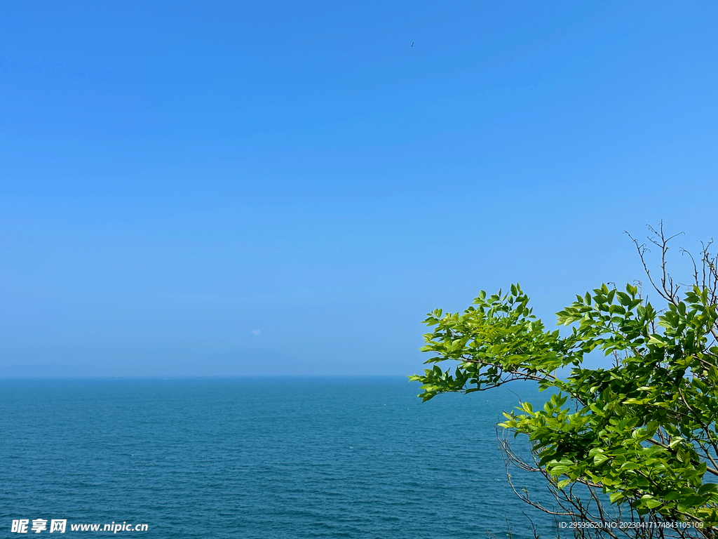 大海