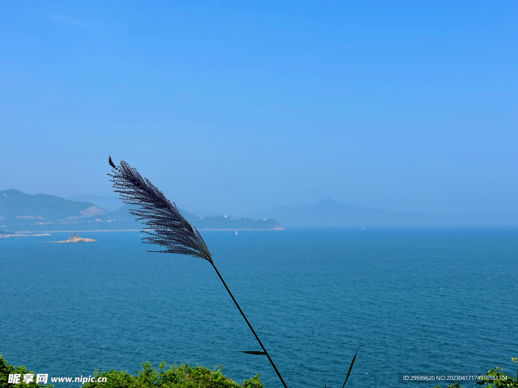 大海