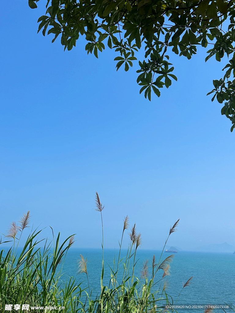 大海