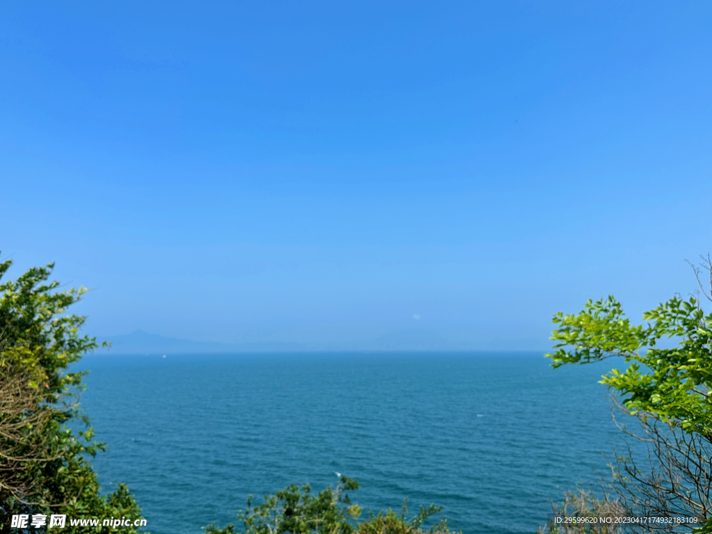 大海