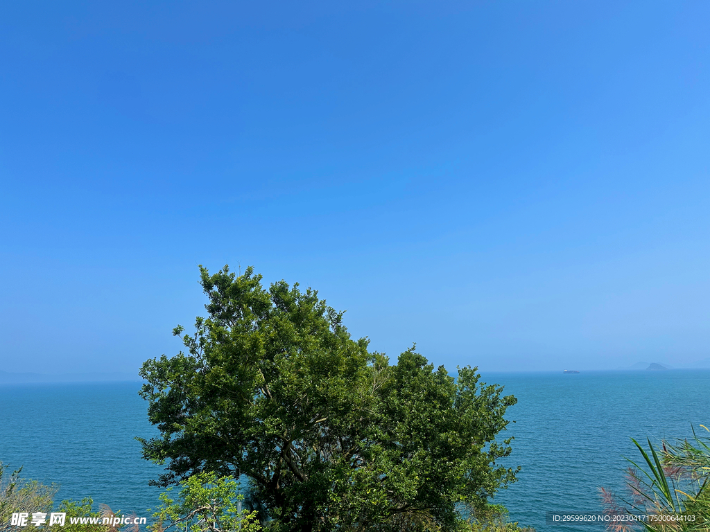 大海