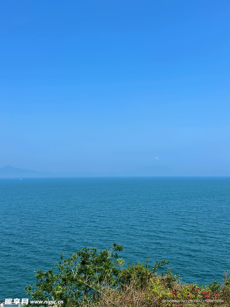 大海