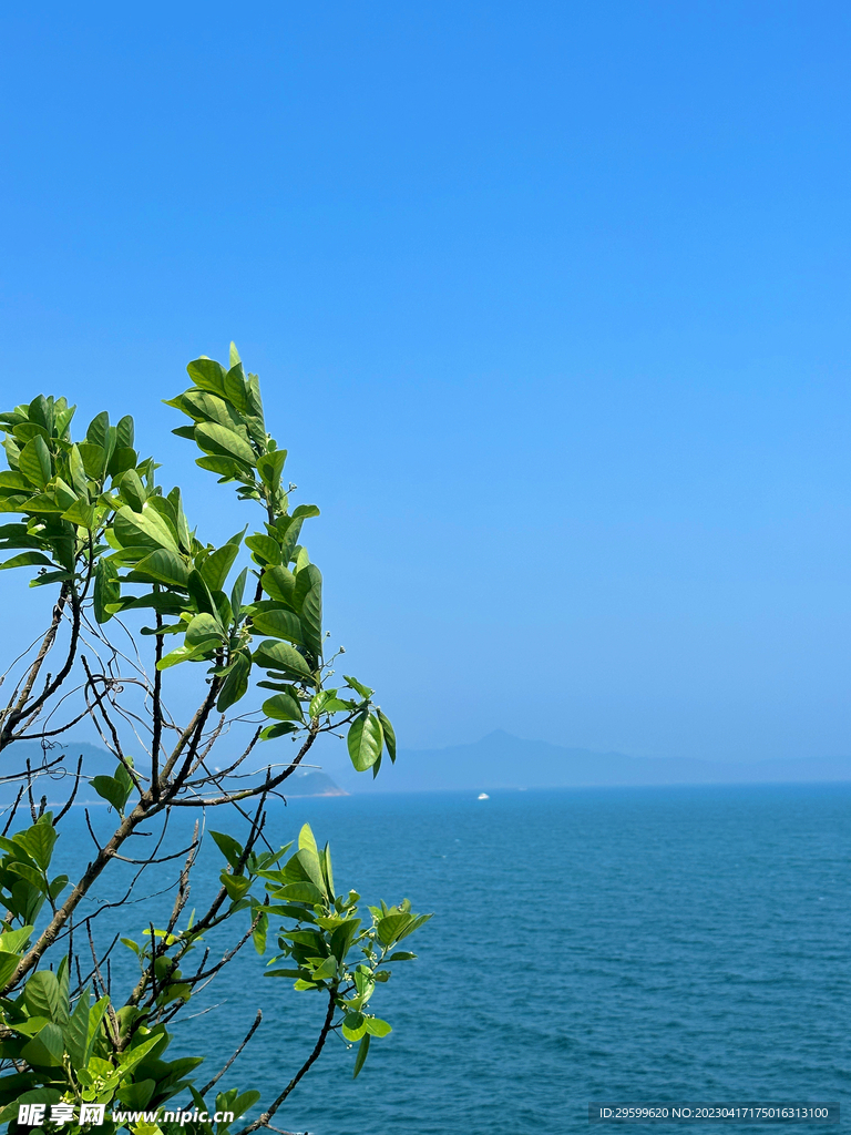 大海