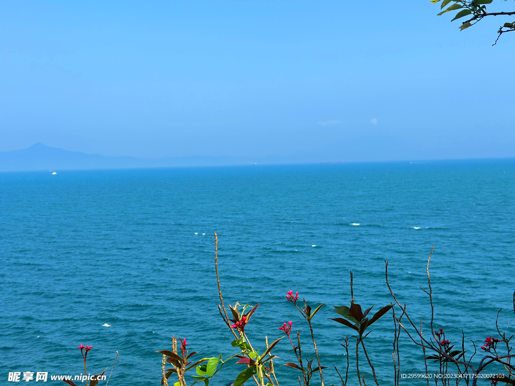 大海