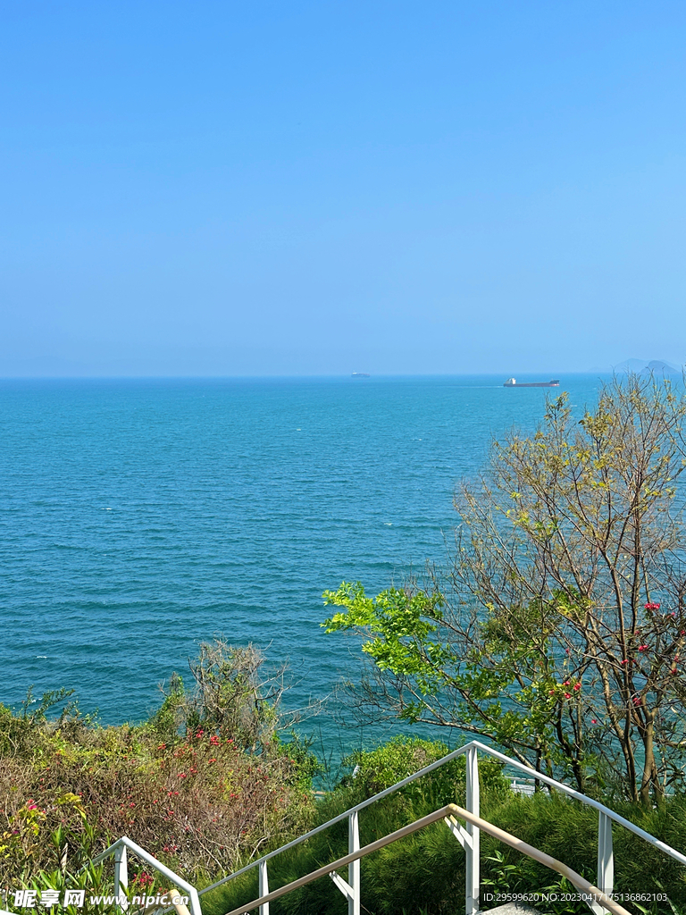 大海