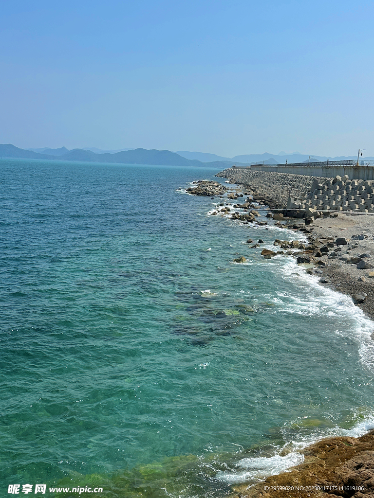 大海