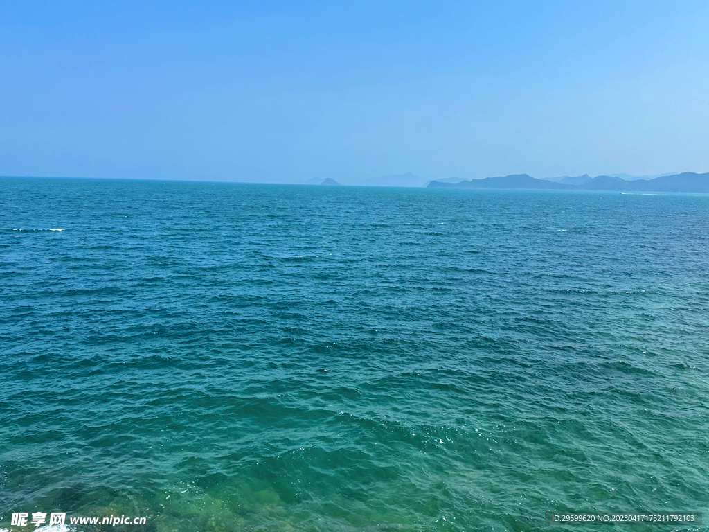 大海