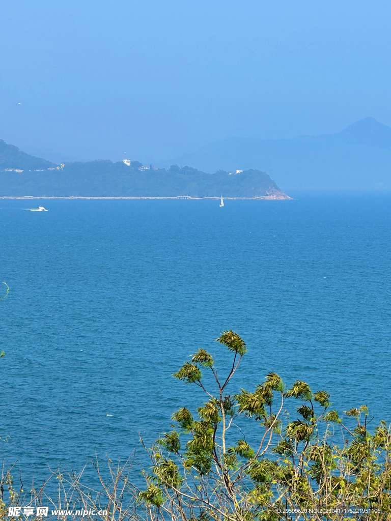 大海
