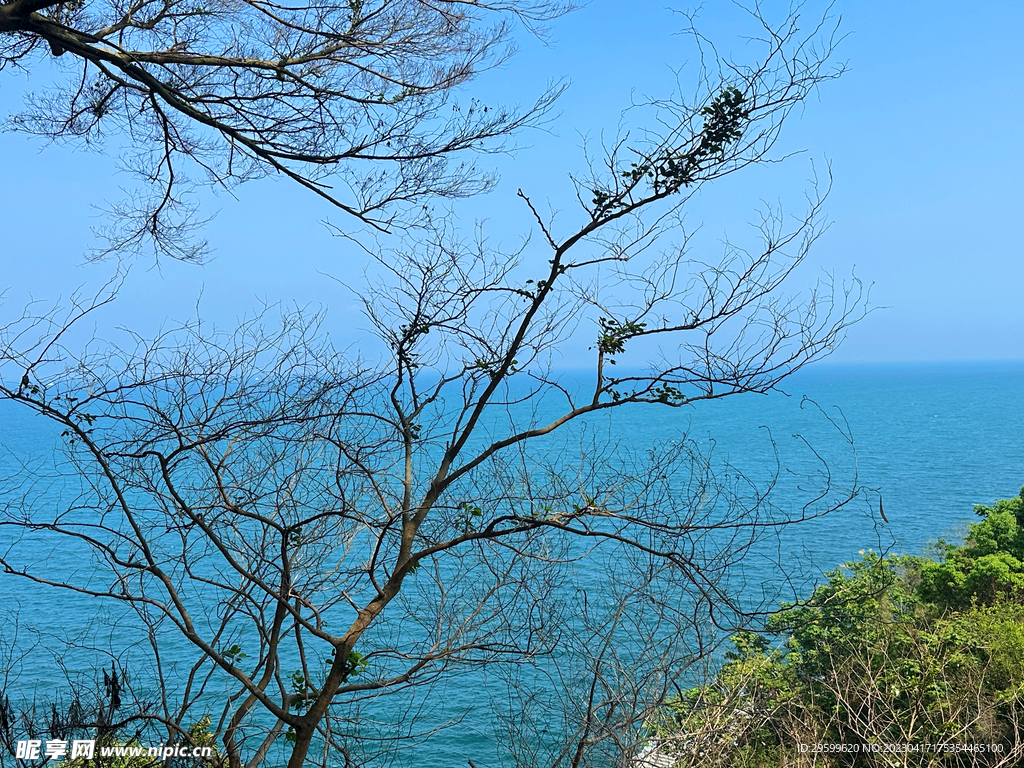 大海