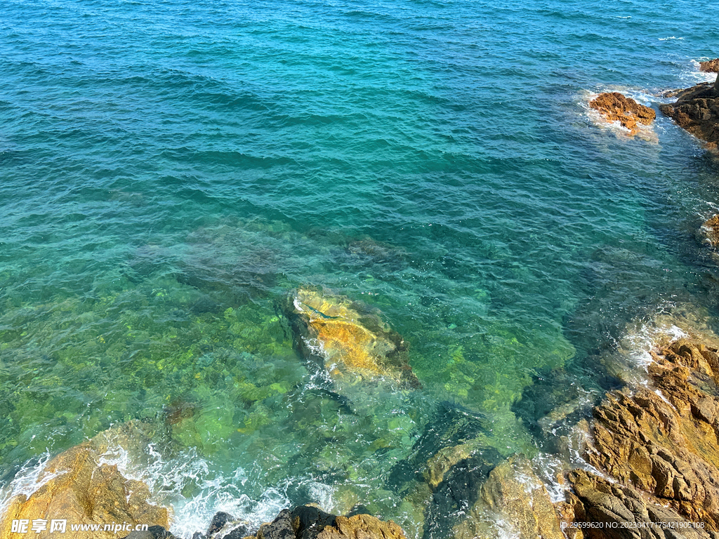 大海