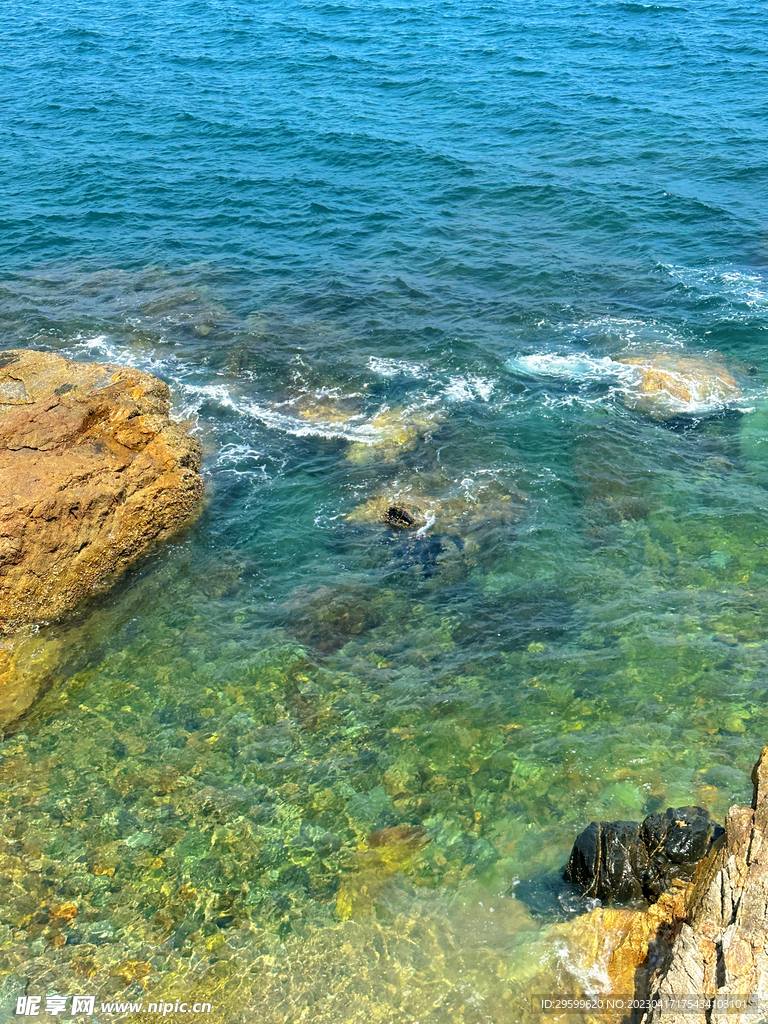 大海