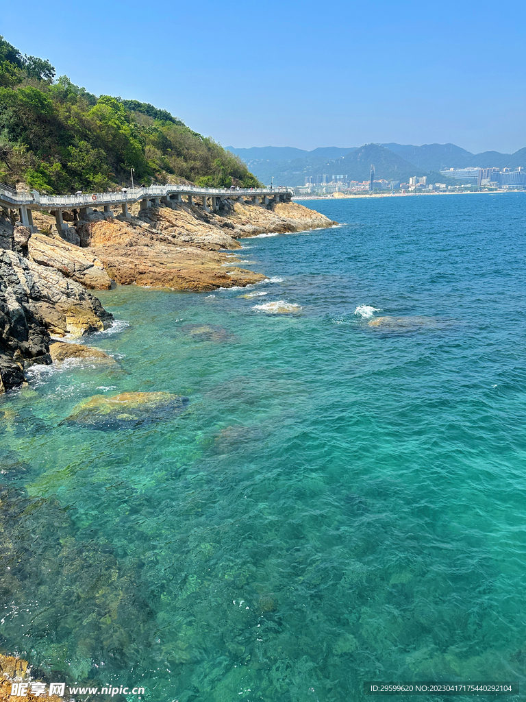 大海