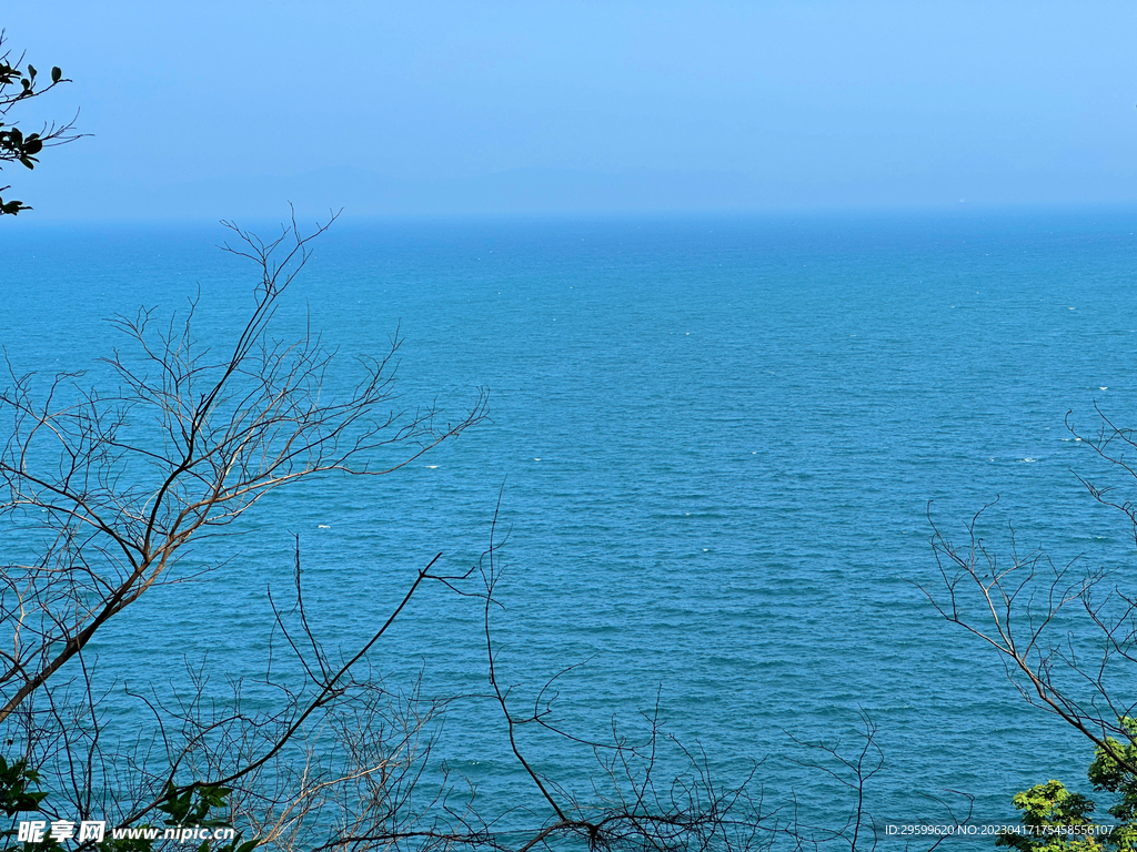 大海