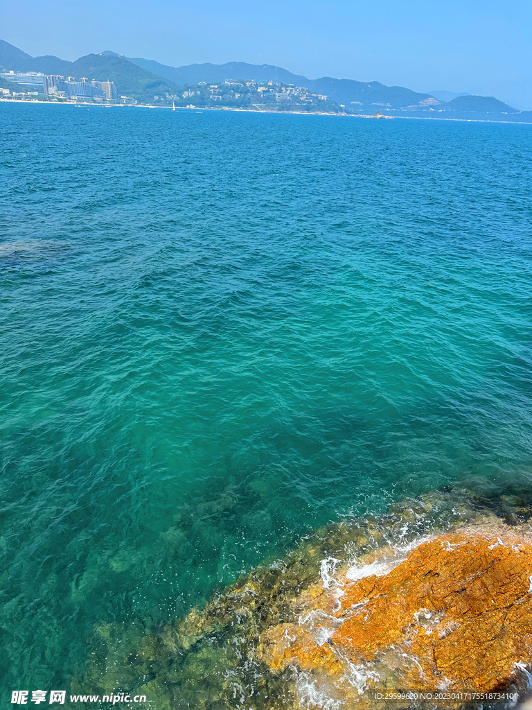 大海