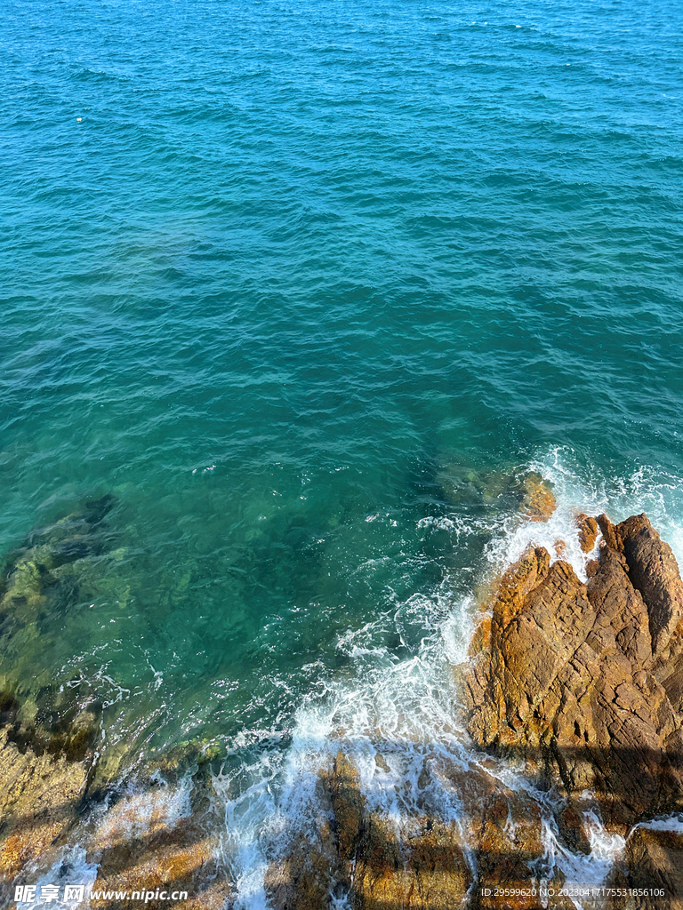 大海